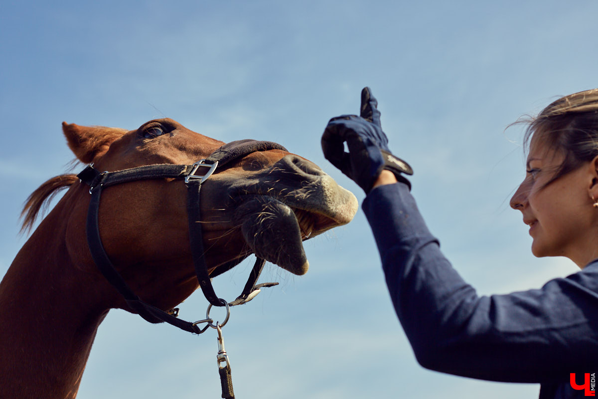 Екатерина Добронравова установила удивительно доверительный контакт со своей лошадью Далиной благодаря методике гуманного отношения к питомцу. Это добрая история про иппотерапию и дружбу