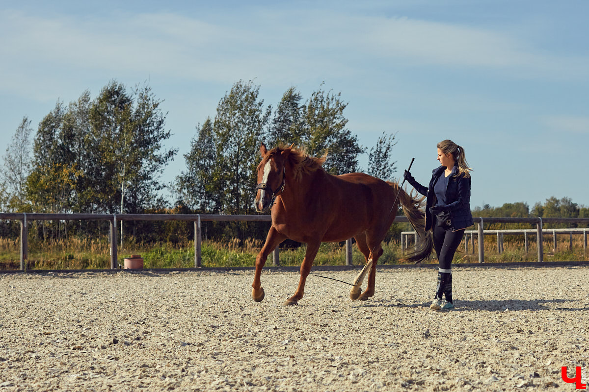 Екатерина Добронравова установила удивительно доверительный контакт со своей лошадью Далиной благодаря методике гуманного отношения к питомцу. Это добрая история про иппотерапию и дружбу