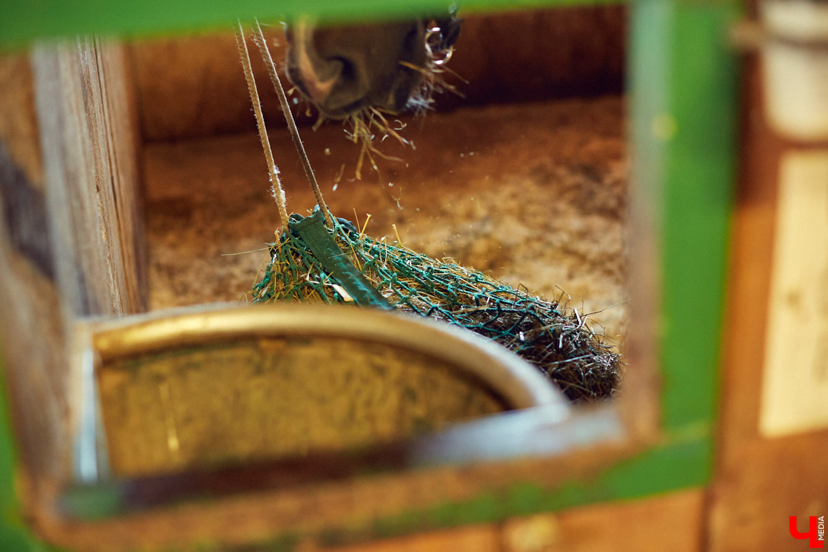 Екатерина Добронравова установила удивительно доверительный контакт со своей лошадью Далиной благодаря методике гуманного отношения к питомцу. Это добрая история про иппотерапию и дружбу