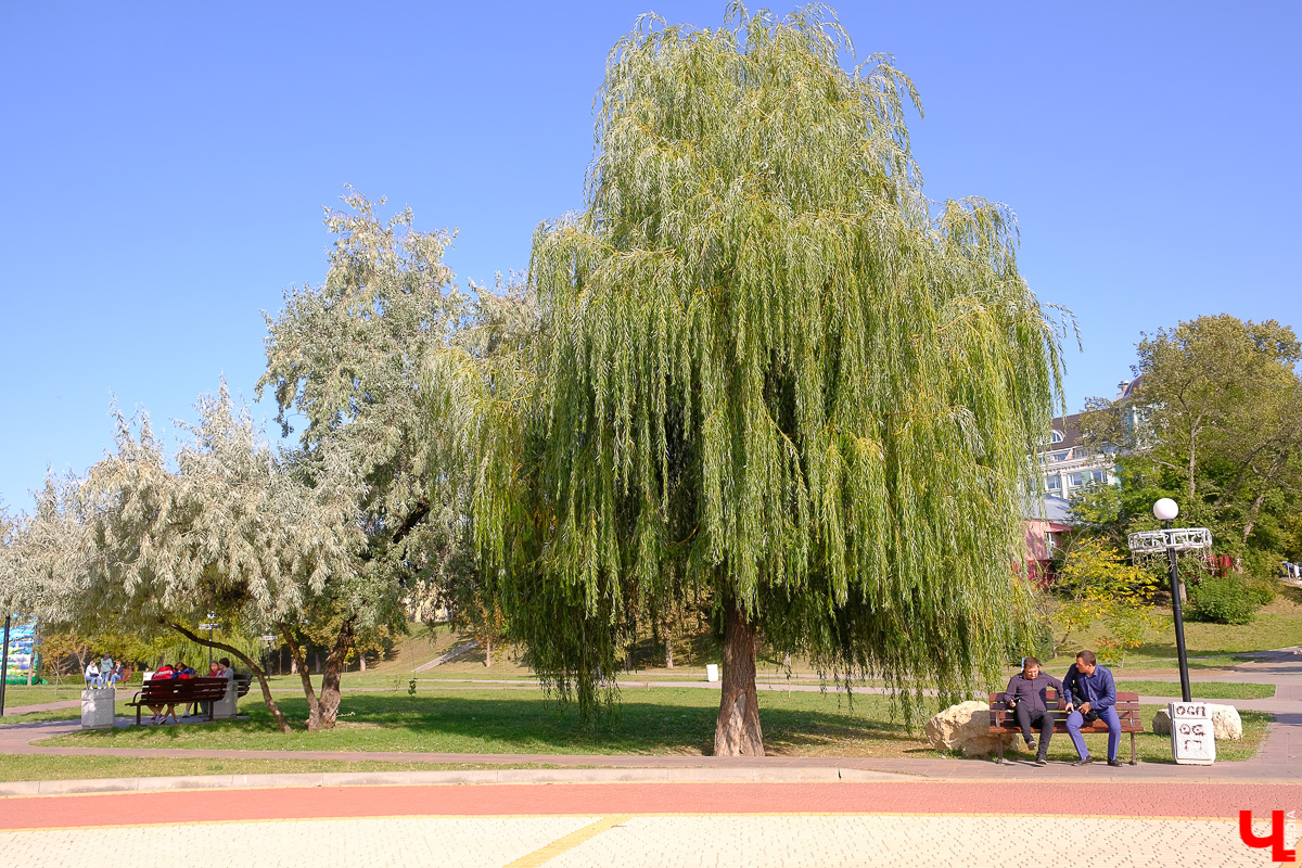 Куда поехать в последние сентябрьские выходные? Рассказываем, что интересного есть в Рязани