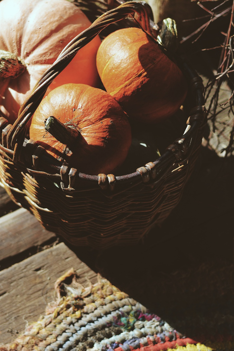 Предлагаем вам остановиться и взглянуть на атмосферные осенние снимки. Готовы поспорить, что некоторые из них окажутся на заставке ваших телефонов