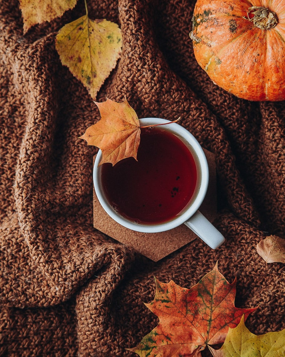 Предлагаем вам остановиться и взглянуть на атмосферные осенние снимки. Готовы поспорить, что некоторые из них окажутся на заставке ваших телефонов