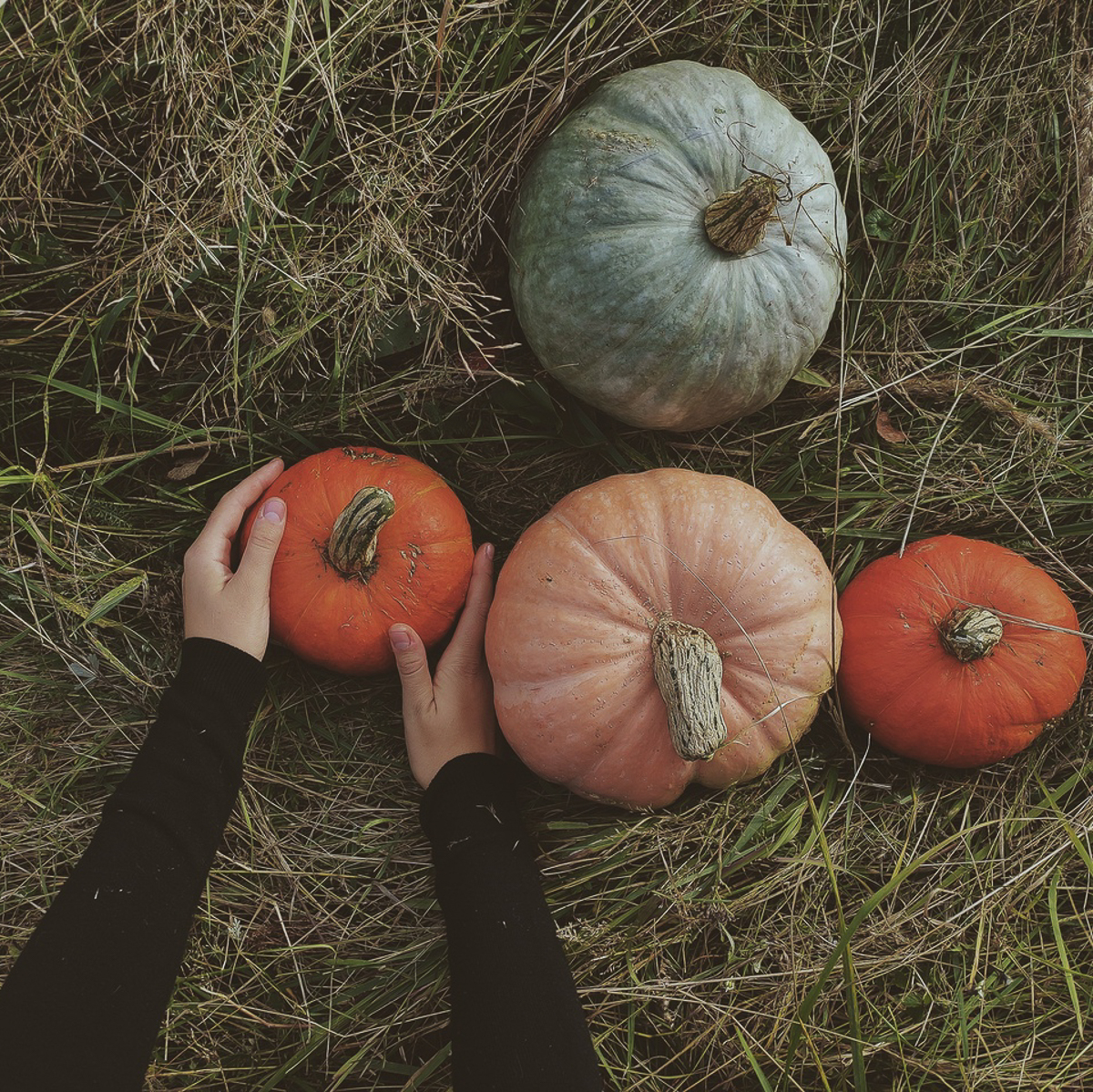Предлагаем вам остановиться и взглянуть на атмосферные осенние снимки. Готовы поспорить, что некоторые из них окажутся на заставке ваших телефонов