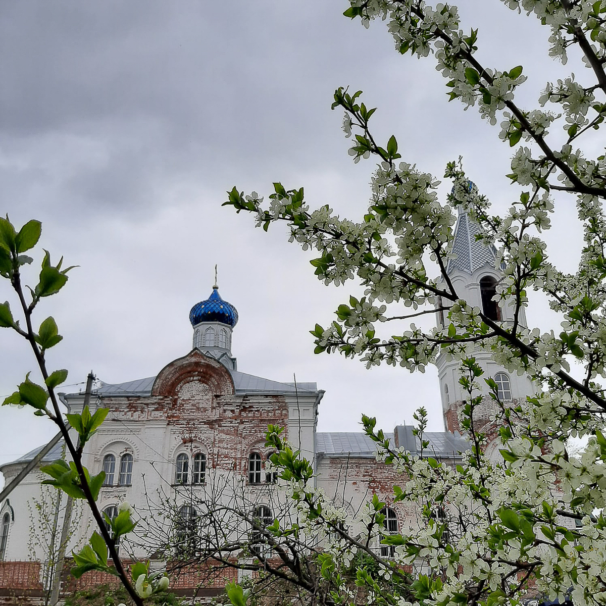 Во Владимирской области выбрали самые красивые деревни-2020. Какой же населенный пункт получил гран-при 150 000 рублей и почетный титул?