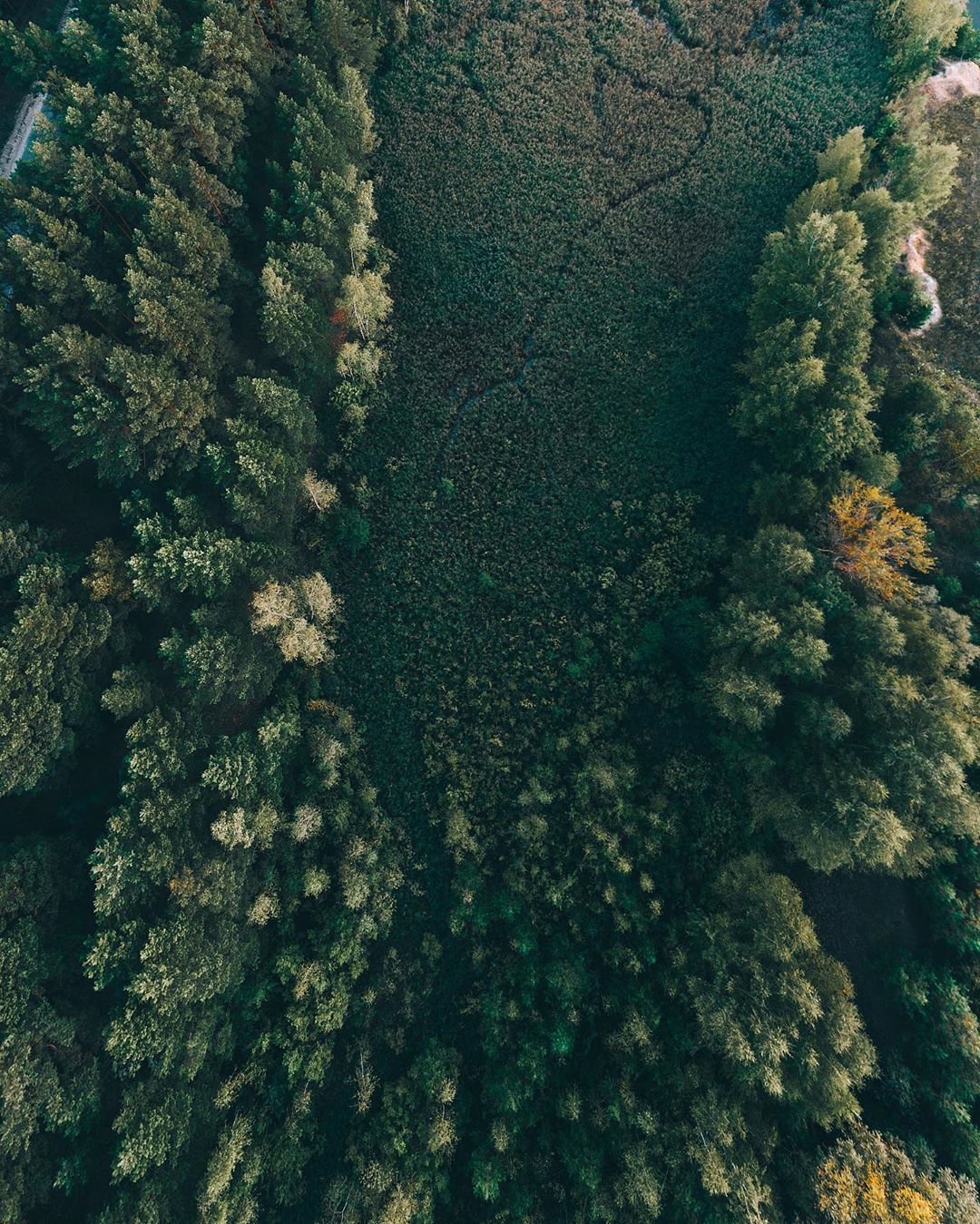 Муромско-владимирский лайфстайл, сделанный с любовью. Большой семейный фотодневник, некоторые снимки в котором сделаны с дрона