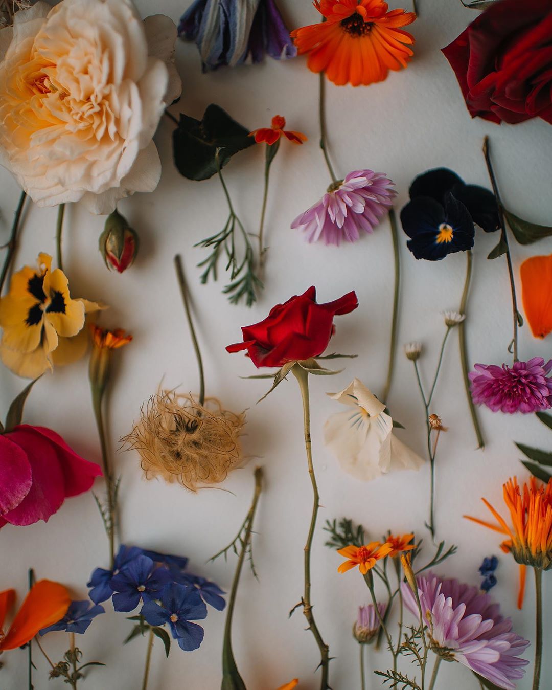 Муромско-владимирский лайфстайл, сделанный с любовью. Большой семейный фотодневник, некоторые снимки в котором сделаны с дрона