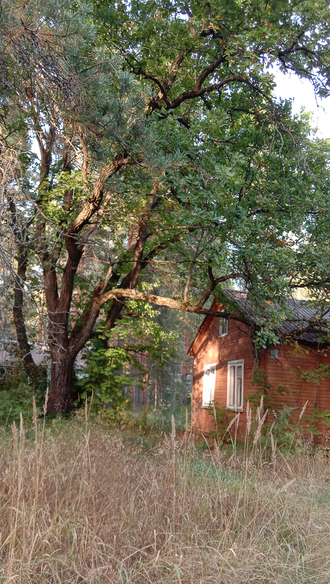 В Собинском районе есть интересная локация - заброшенная турбаза с очень красивыми постройками. Как раньше выглядело это место и в каком состоянии оно находится сейчас - все это видно на фото