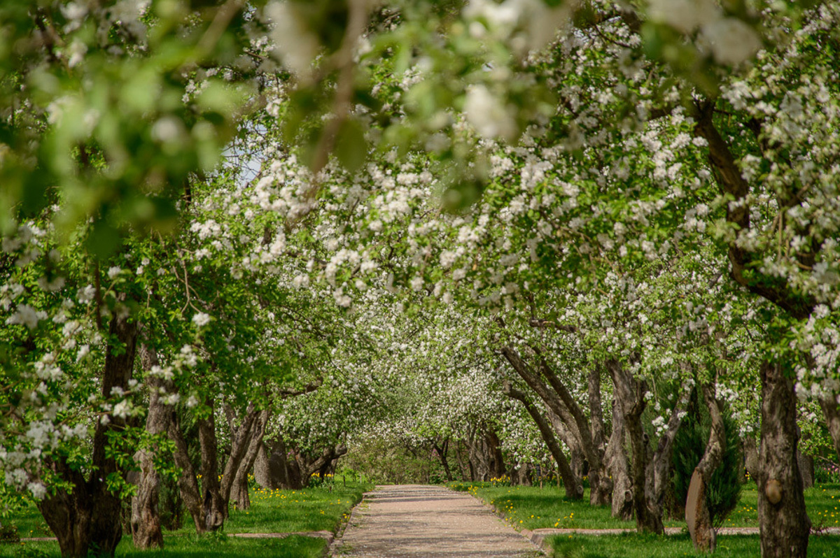 Как изменится парк у ДТЮ? Презентована концепция обновления зеленой зоны. А еще есть новости о «Дружбе» и «Добросельском»
