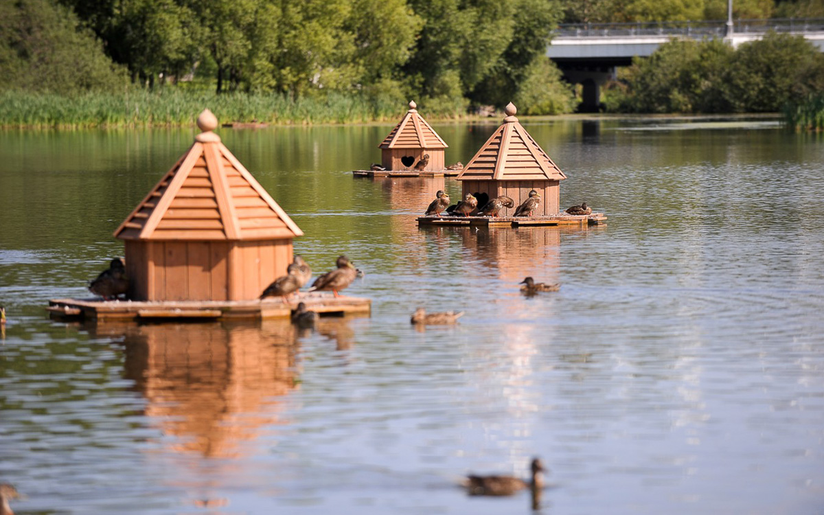 Как изменится парк у ДТЮ? Презентована концепция обновления зеленой зоны. А еще есть новости о «Дружбе» и «Добросельском»