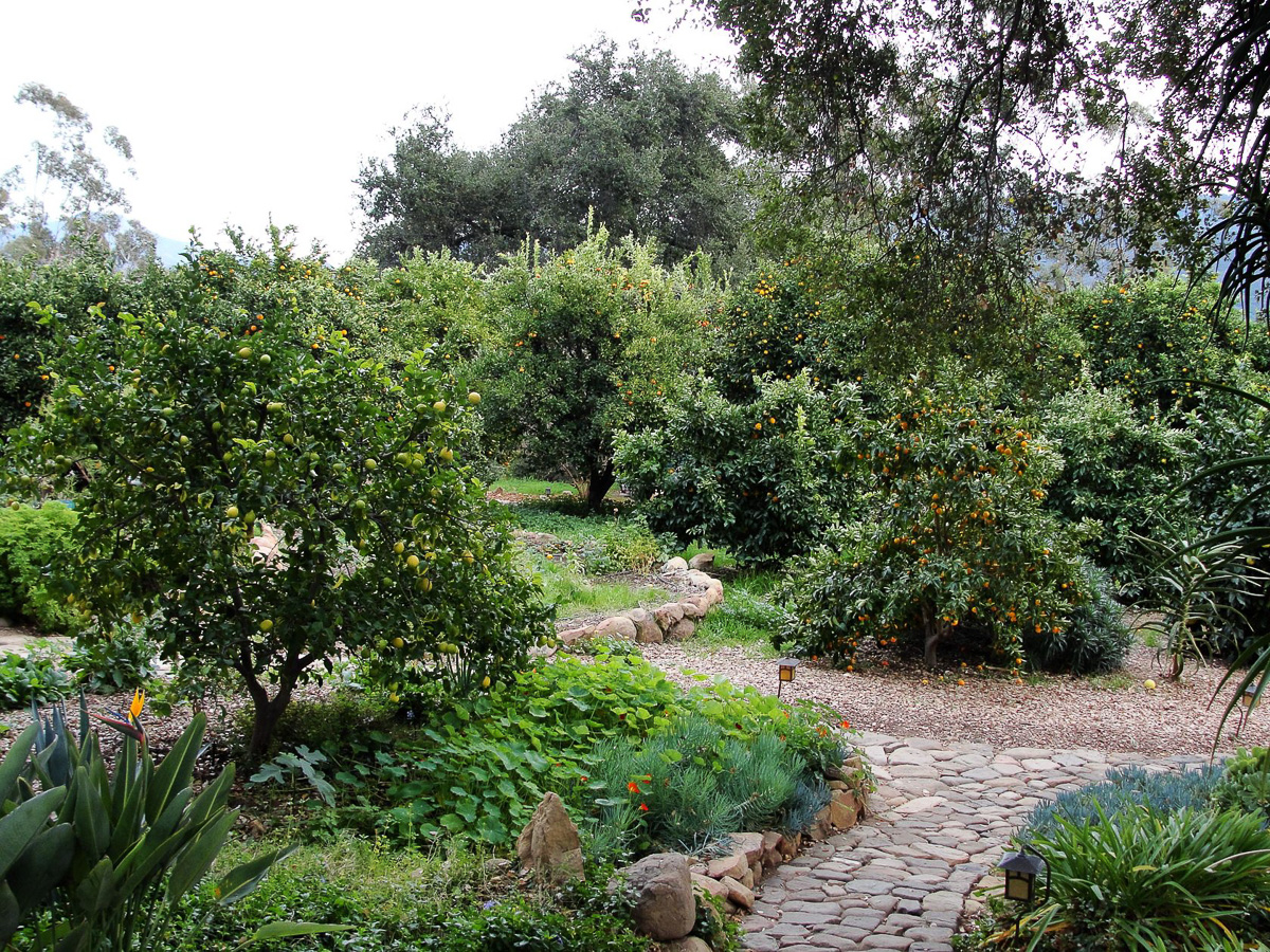 Как изменится парк у ДТЮ? Презентована концепция обновления зеленой зоны. А еще есть новости о «Дружбе» и «Добросельском»