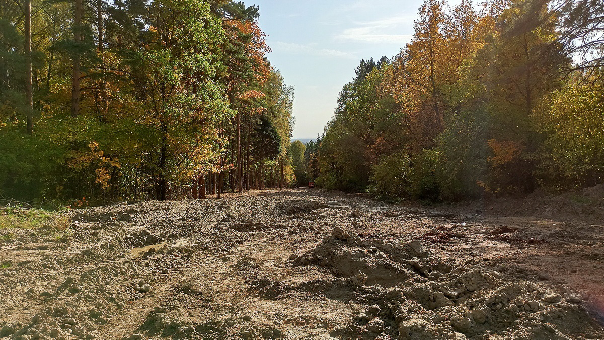 Как изменится парк у ДТЮ? Презентована концепция обновления зеленой зоны. А еще есть новости о «Дружбе» и «Добросельском»