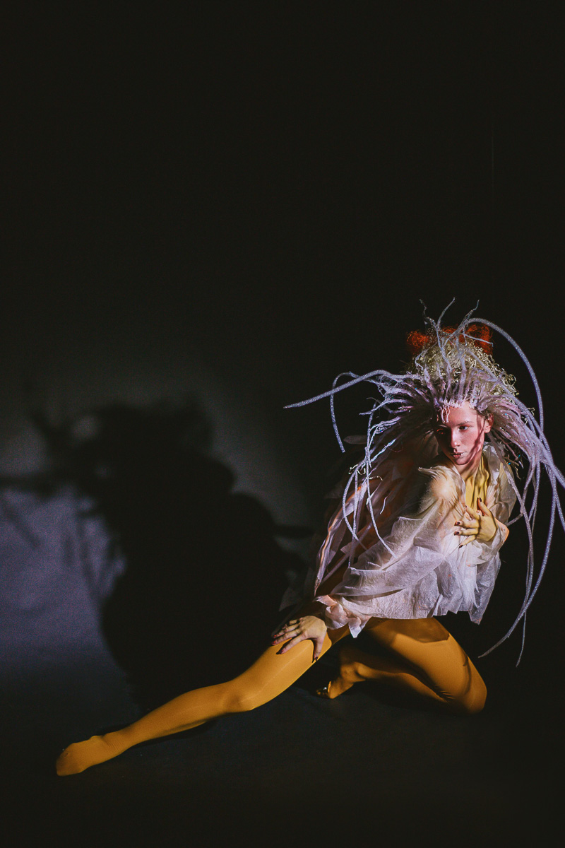 Наш журналист София Лётка поучаствовала в арт-проекте «Ассоциации» и рассказывает, как творческой командой создавался образ Тубулярии индивизы