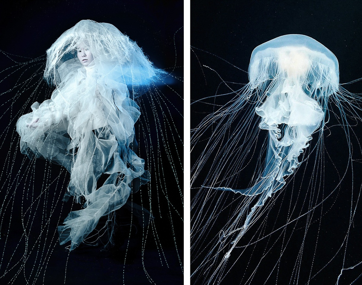 Наш журналист София Лётка поучаствовала в арт-проекте «Ассоциации» и рассказывает, как творческой командой создавался образ Тубулярии индивизы