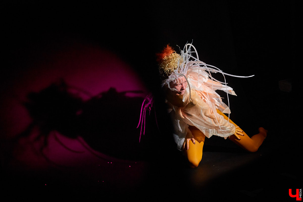 Наш журналист София Лётка поучаствовала в арт-проекте «Ассоциации» и рассказывает, как творческой командой создавался образ Тубулярии индивизы