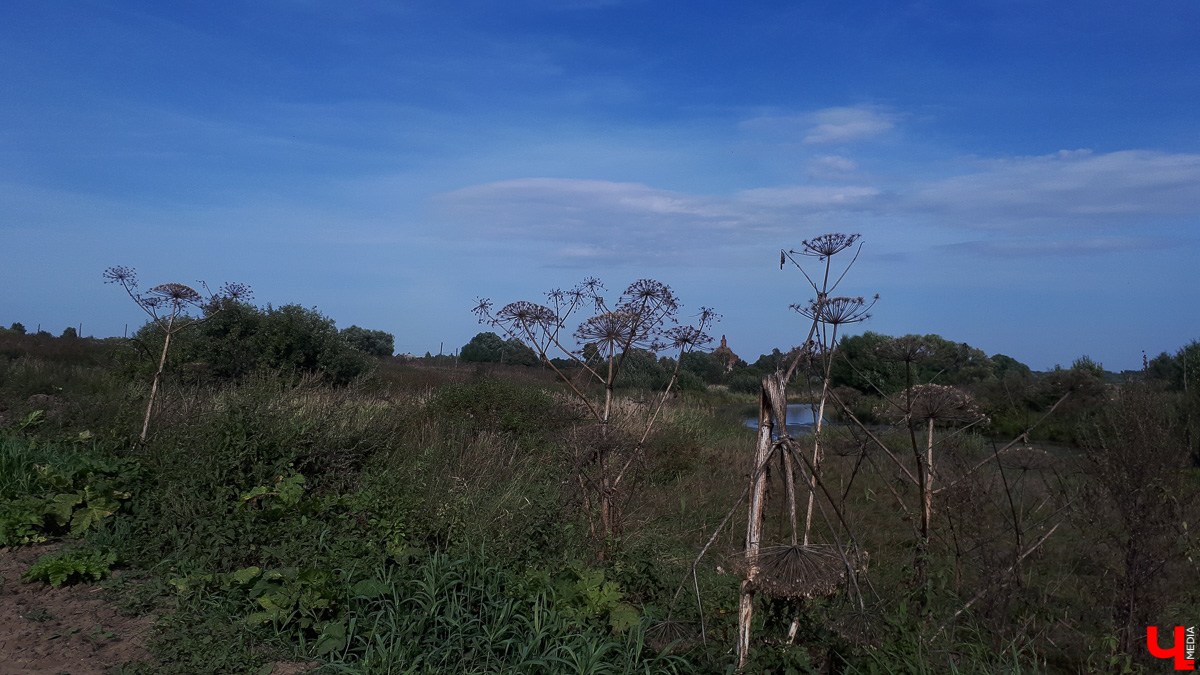 Фоторепортаж из села Константиново и история двух заброшенных церквей