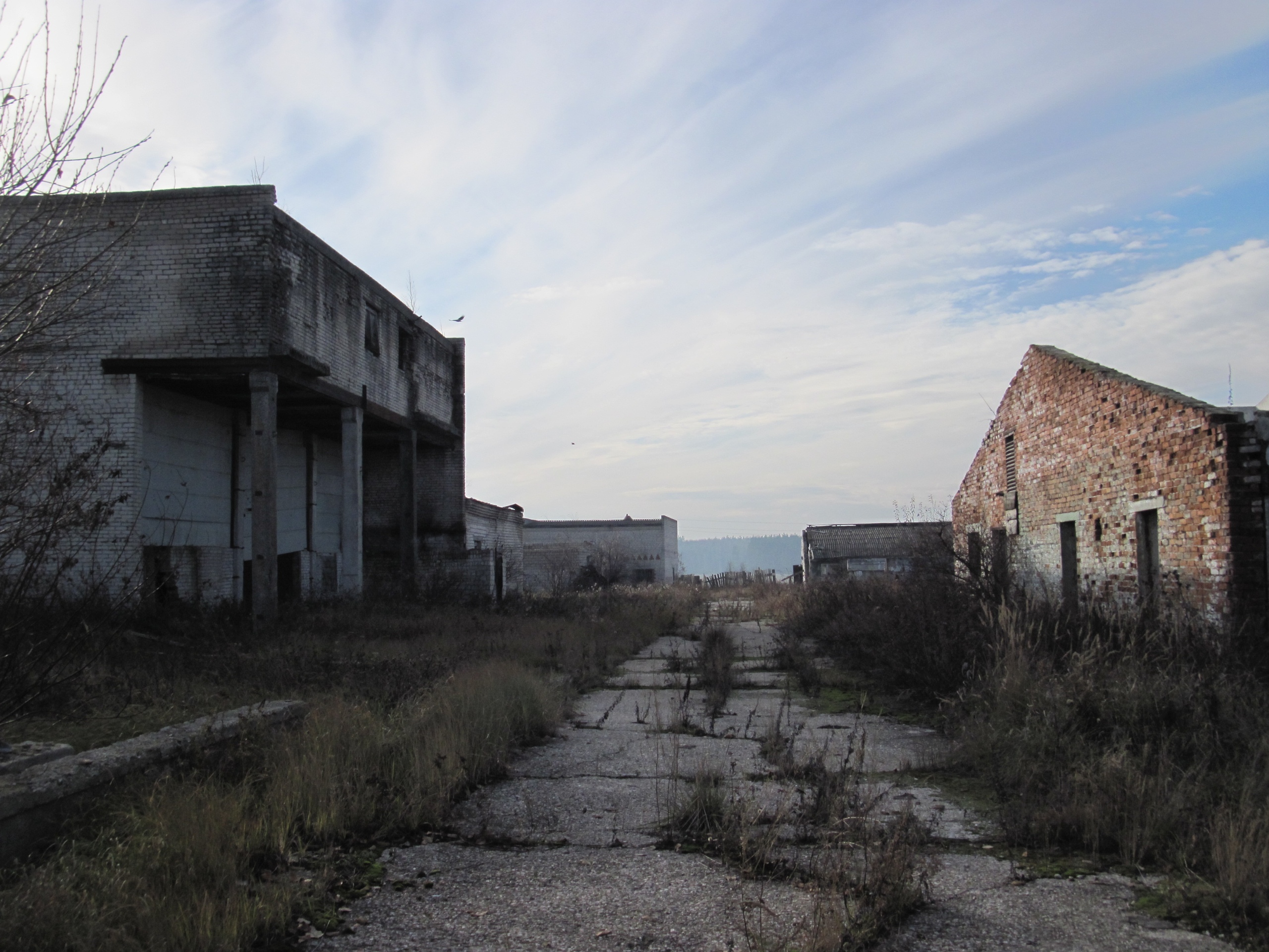 Фотограф Игорь Федотов побывал на заброшенной птицефабрике в Вязниках. Здания пустуют уже около 20 лет и медленно разрушаются