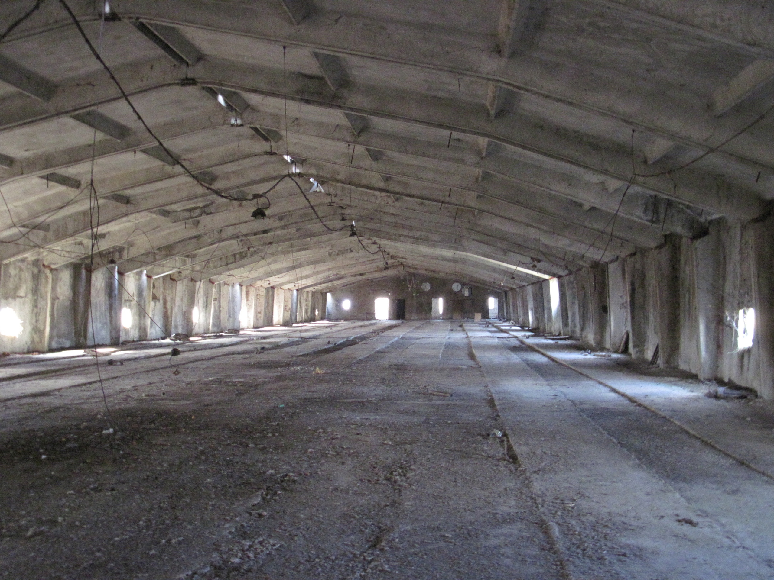 Фотограф Игорь Федотов побывал на заброшенной птицефабрике в Вязниках. Здания пустуют уже около 20 лет и медленно разрушаются