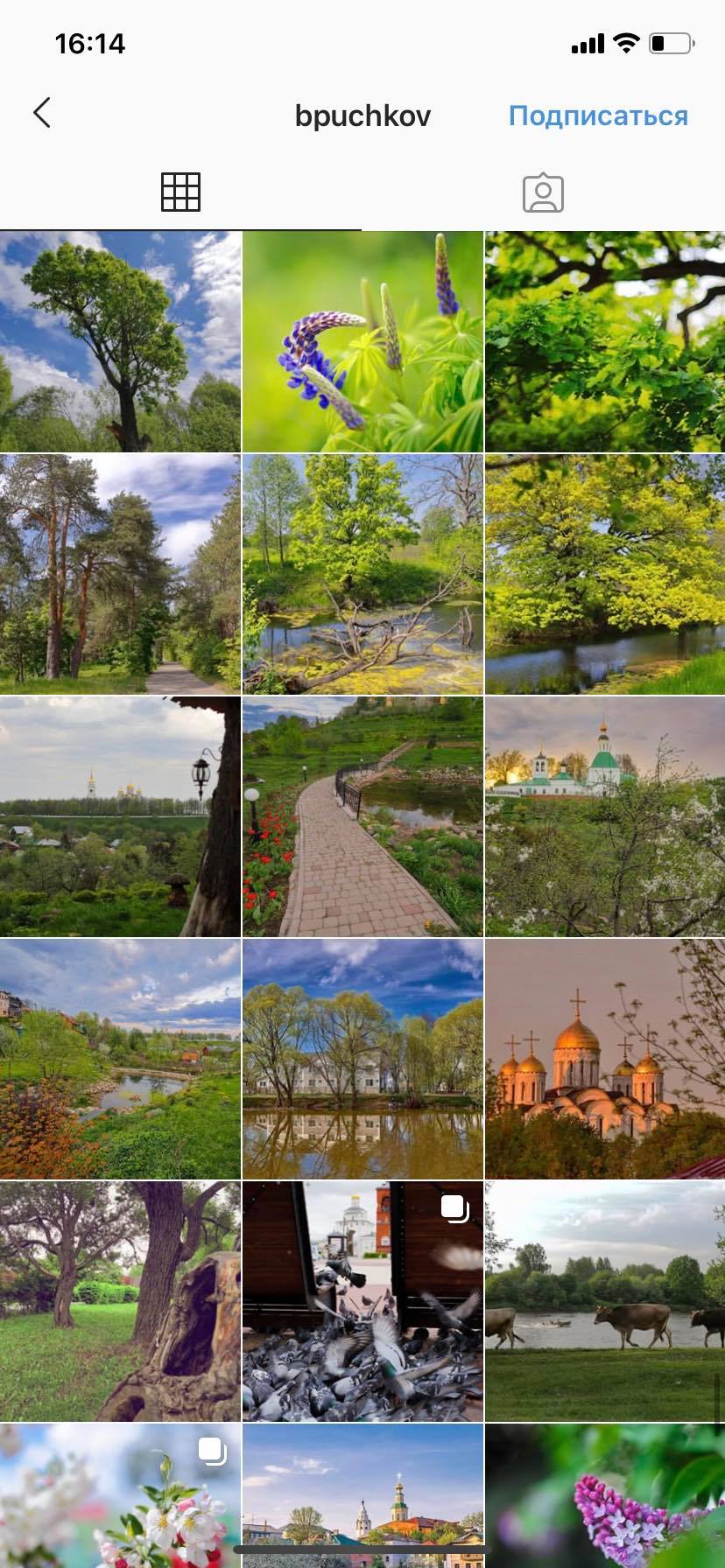 От рандомных фото с фильтрами «Инстаграма» до концептуальных и продуманных профилей. Узнали у горожан, как менялись их странички, за что они любят эту соцсеть и почему выделяют ее среди других площадок