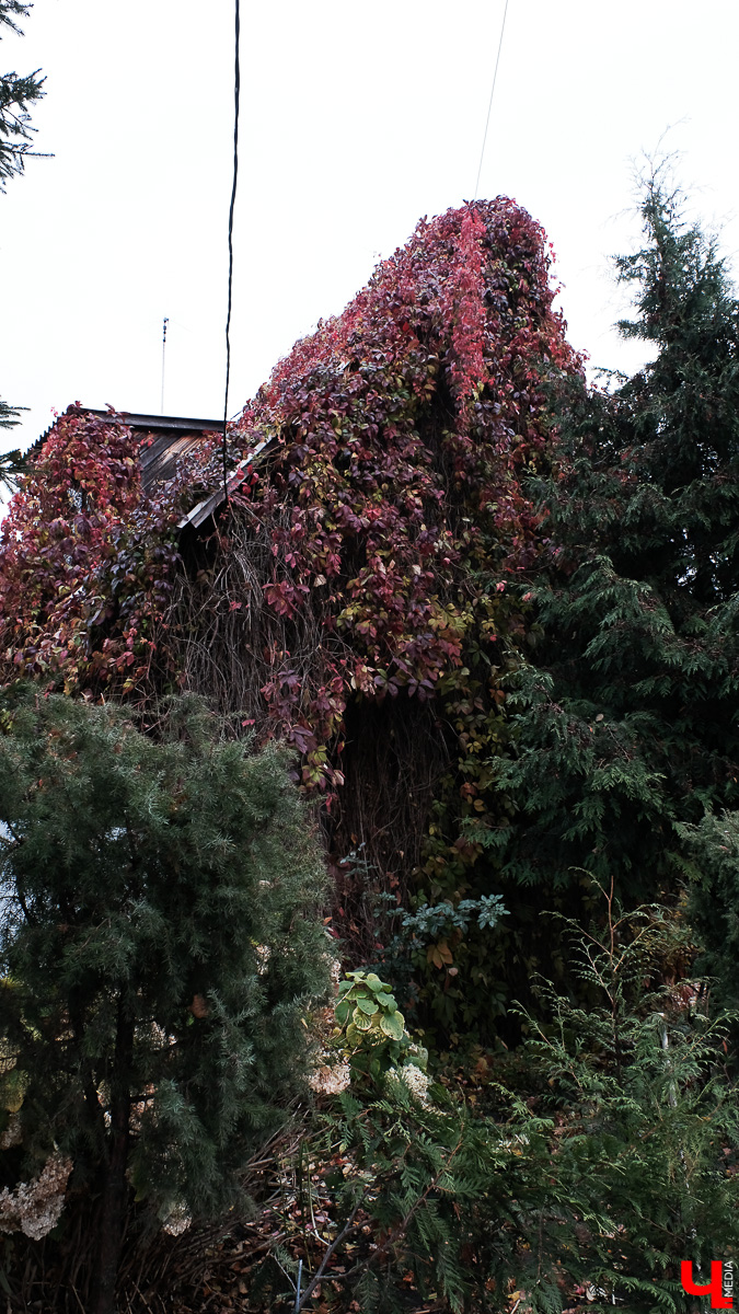 Съездили в город-сказку и сделали фотоподборку самых красивых и необычных домов