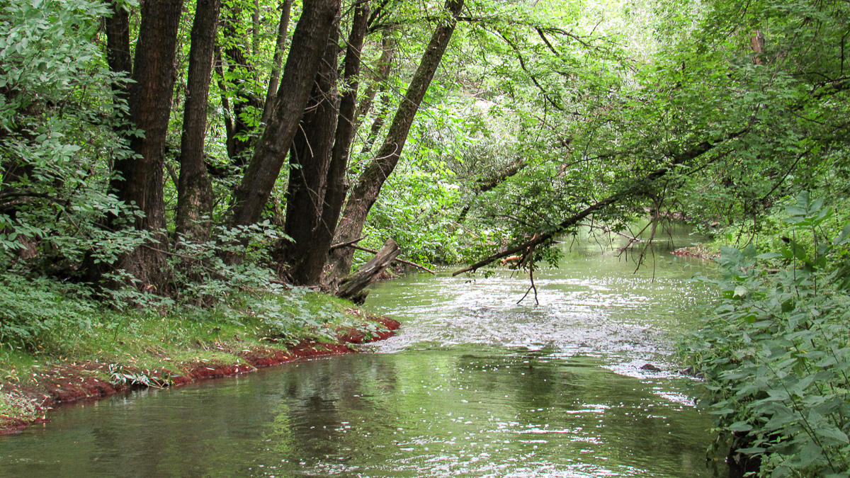 Красное село стало частью Владимира в 50-х годах XX века. Сегодня на память о былом осталась лишь одна улица. Но история места удивительная