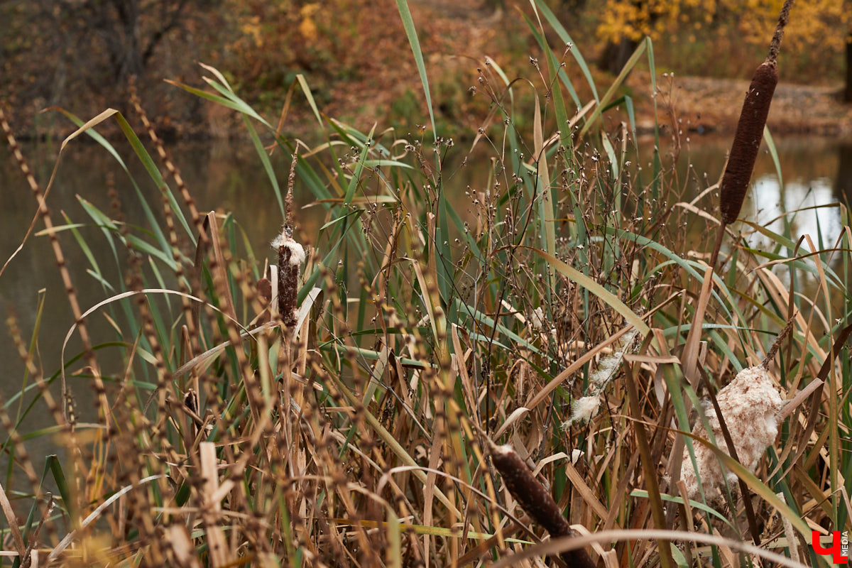 Красное село стало частью Владимира в 50-х годах XX века. Сегодня на память о былом осталась лишь одна улица. Но история места удивительная