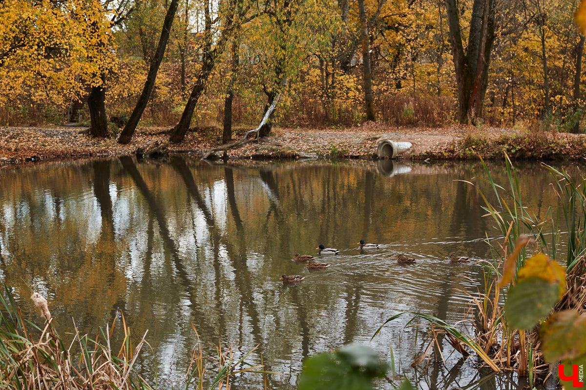 Красное село стало частью Владимира в 50-х годах XX века. Сегодня на память о былом осталась лишь одна улица. Но история места удивительная