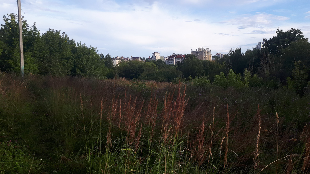 Для парка у ДТЮ разрабатывают концепцию. Проект почти готов, остается внести финальные штрихи. И владимирцев снова просят высказаться