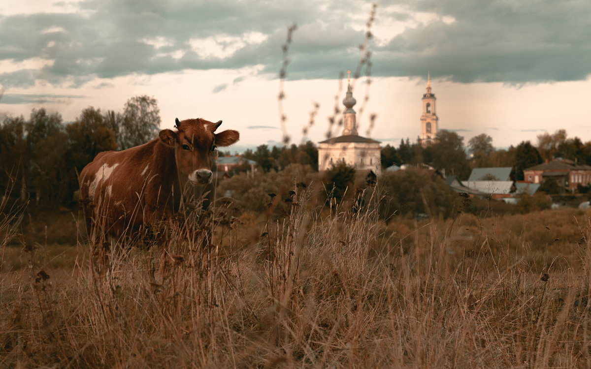 По-русски он не говорит, только по-английски и по-французски. Хотя к чему слова, если под рукой всегда камера? Виктор Балагер поделился с нами своими фотовпечатлениями о Суздале