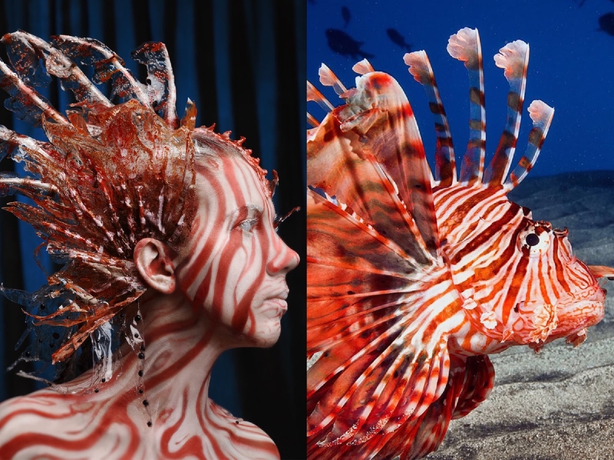 В начале октября «Ключ-Медиа» принял участие в арт-проекте владимирского визажиста, а сегодня получил письмо со сканами страниц американского глянца. Рассказываем, кто оценил ассоциации мастера и нашу совместную работу