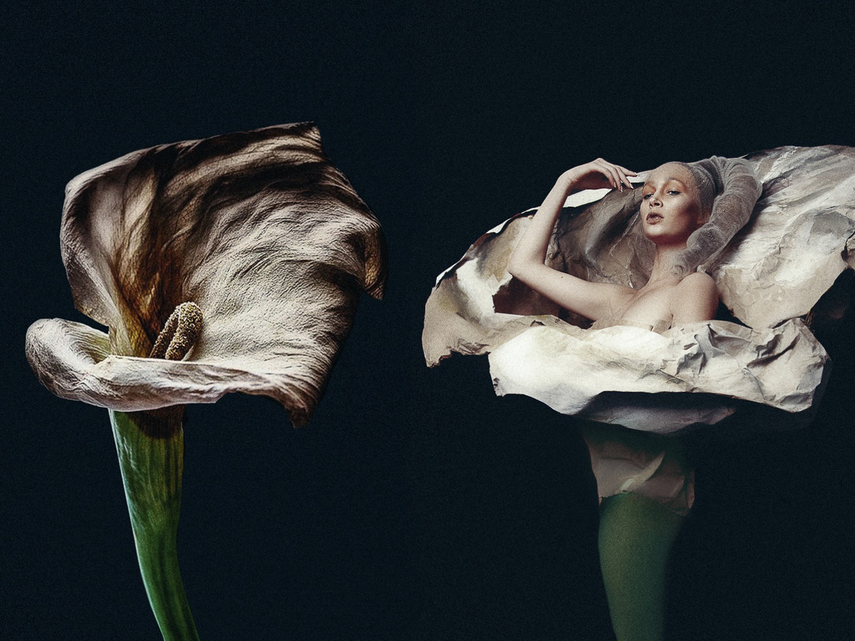 В начале октября «Ключ-Медиа» принял участие в арт-проекте владимирского визажиста, а сегодня получил письмо со сканами страниц американского глянца. Рассказываем, кто оценил ассоциации мастера и нашу совместную работу