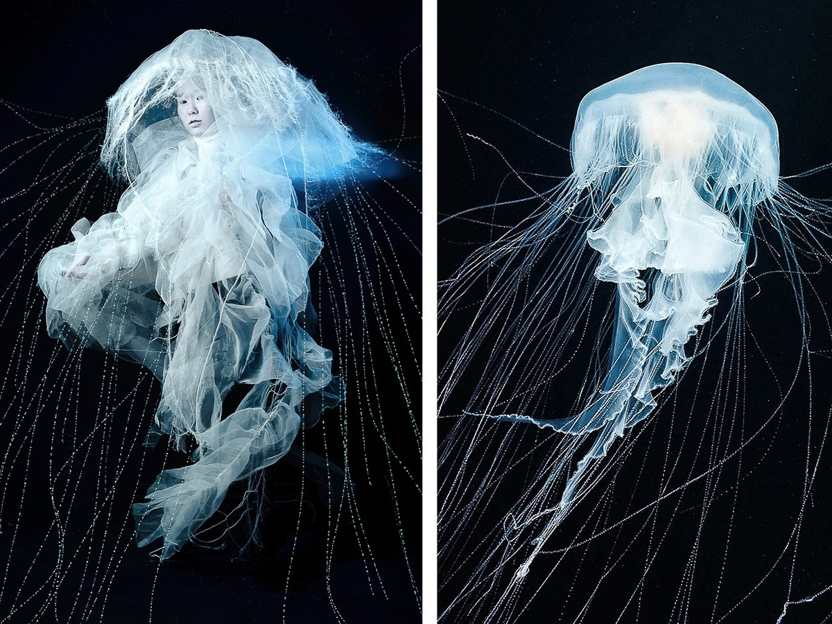 В начале октября «Ключ-Медиа» принял участие в арт-проекте владимирского визажиста, а сегодня получил письмо со сканами страниц американского глянца. Рассказываем, кто оценил ассоциации мастера и нашу совместную работу