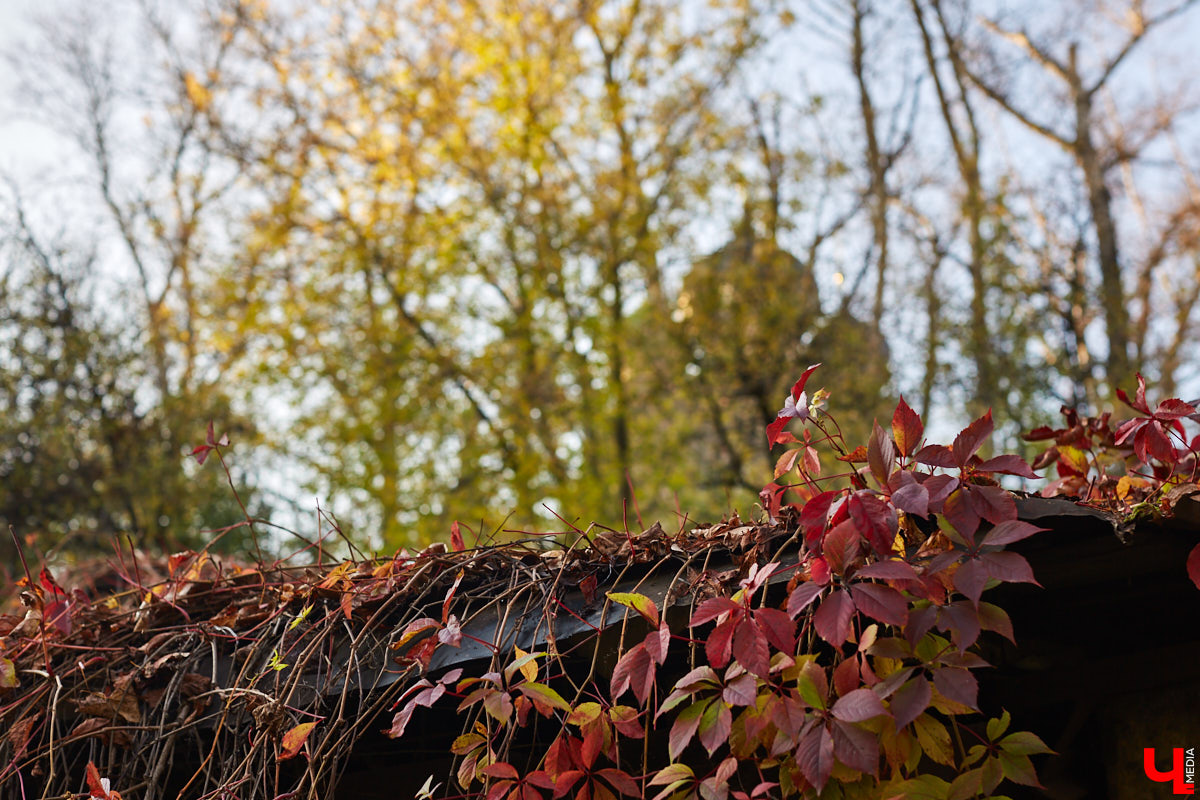 Новые пешеходные зоны, фонтаны и дома — все это может появиться в исторической части города