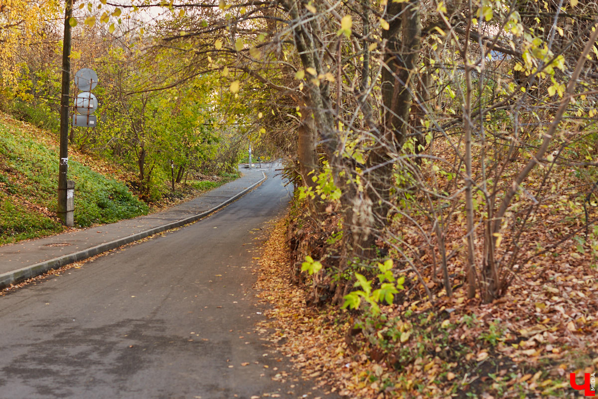Новые пешеходные зоны, фонтаны и дома — все это может появиться в исторической части города