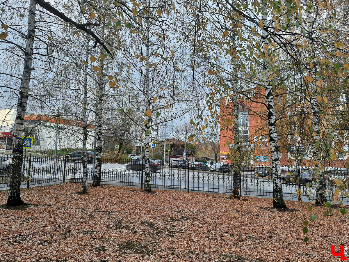 Прогулялись по улицам в центре Владимира. Большие и Малые Ременники помнят еще нашествие Батыя, поэтому есть что о них рассказать