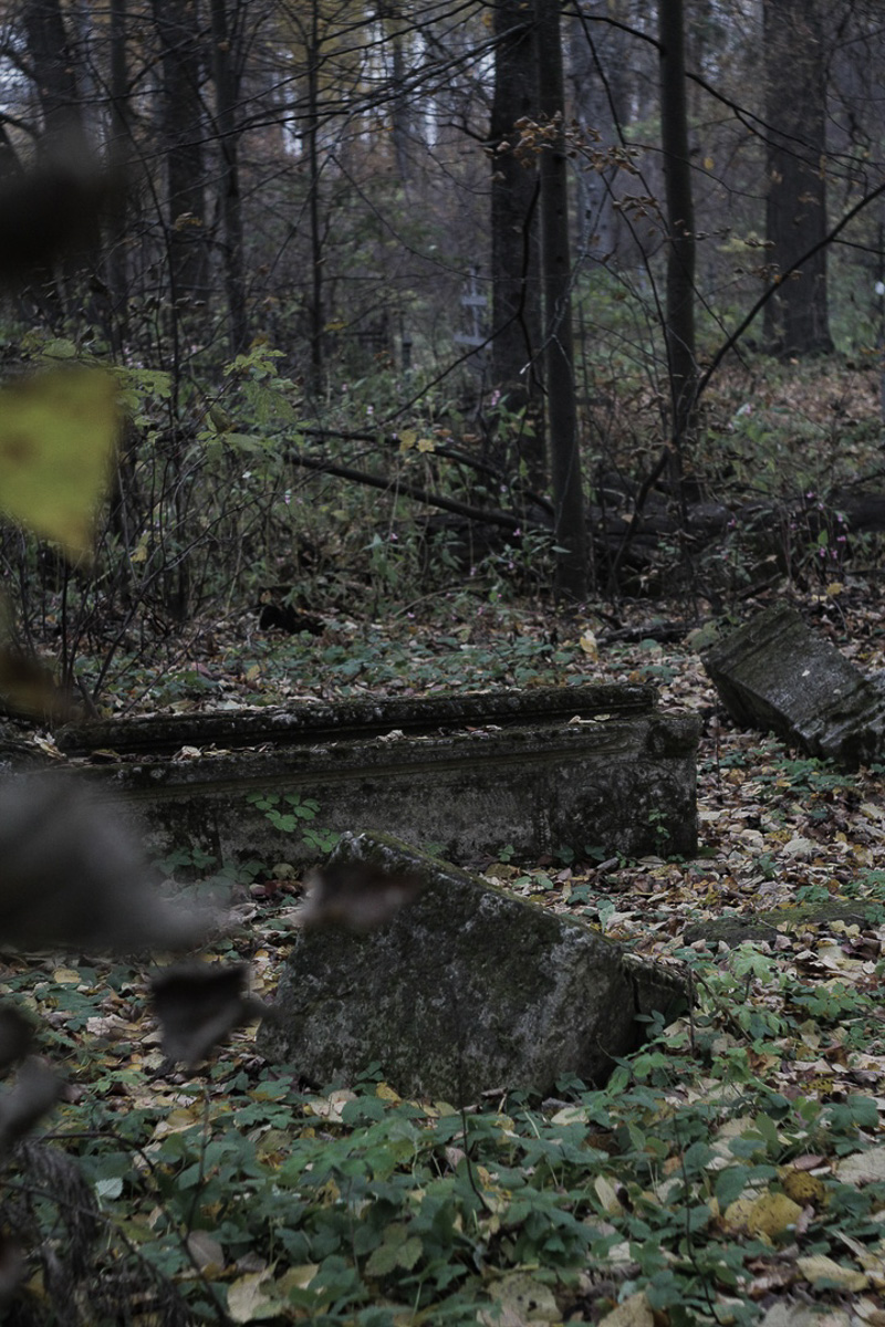 Владимирцы вовсю готовятся к Хэллоуину, и если вы тоже собираетесь на пати или съемку, но до сих пор не знаете, на какой образ стоит сделать ставку, уверены, после этого материала вопрос отпадет сам собой