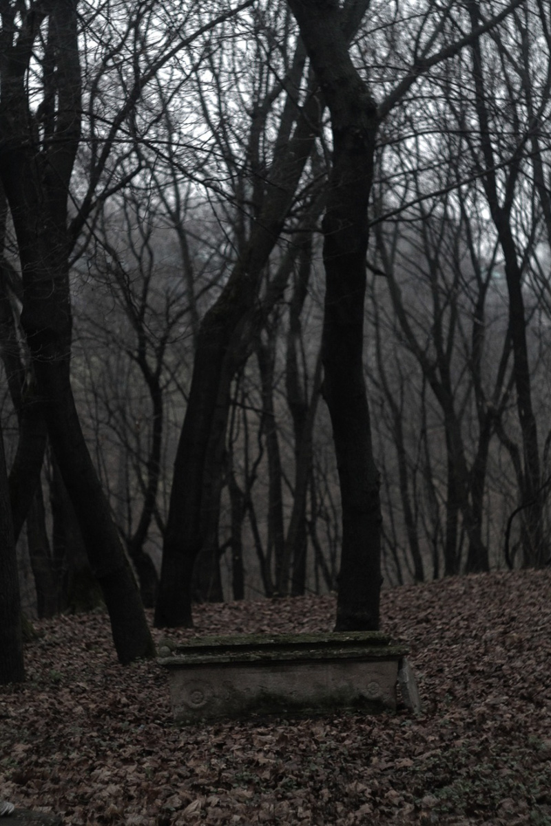 Владимирцы вовсю готовятся к Хэллоуину, и если вы тоже собираетесь на пати или съемку, но до сих пор не знаете, на какой образ стоит сделать ставку, уверены, после этого материала вопрос отпадет сам собой