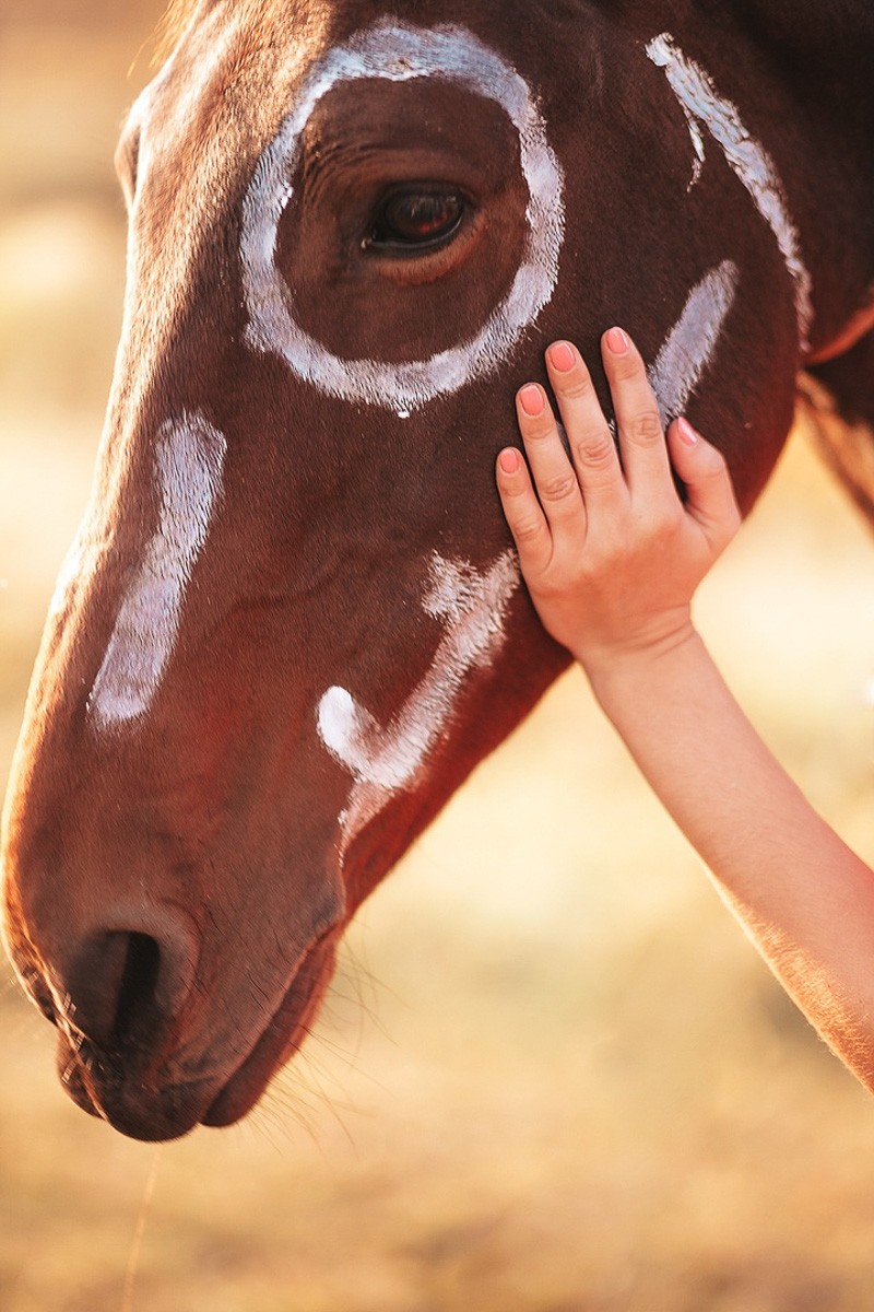 Владимирцы вовсю готовятся к Хэллоуину, и если вы тоже собираетесь на пати или съемку, но до сих пор не знаете, на какой образ стоит сделать ставку, уверены, после этого материала вопрос отпадет сам собой