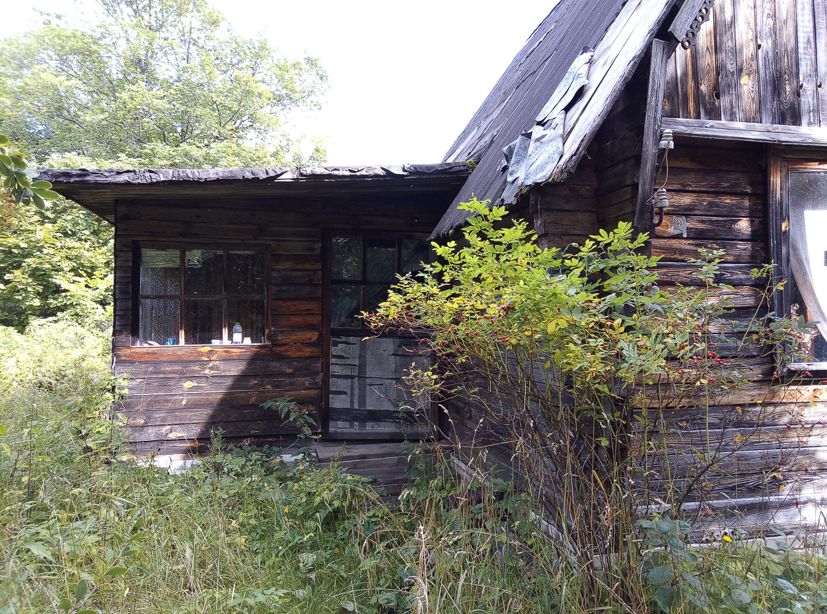 Есть дома, но нет жителей. Фото и видео из трех заброшенных деревень в Вязниковском районе