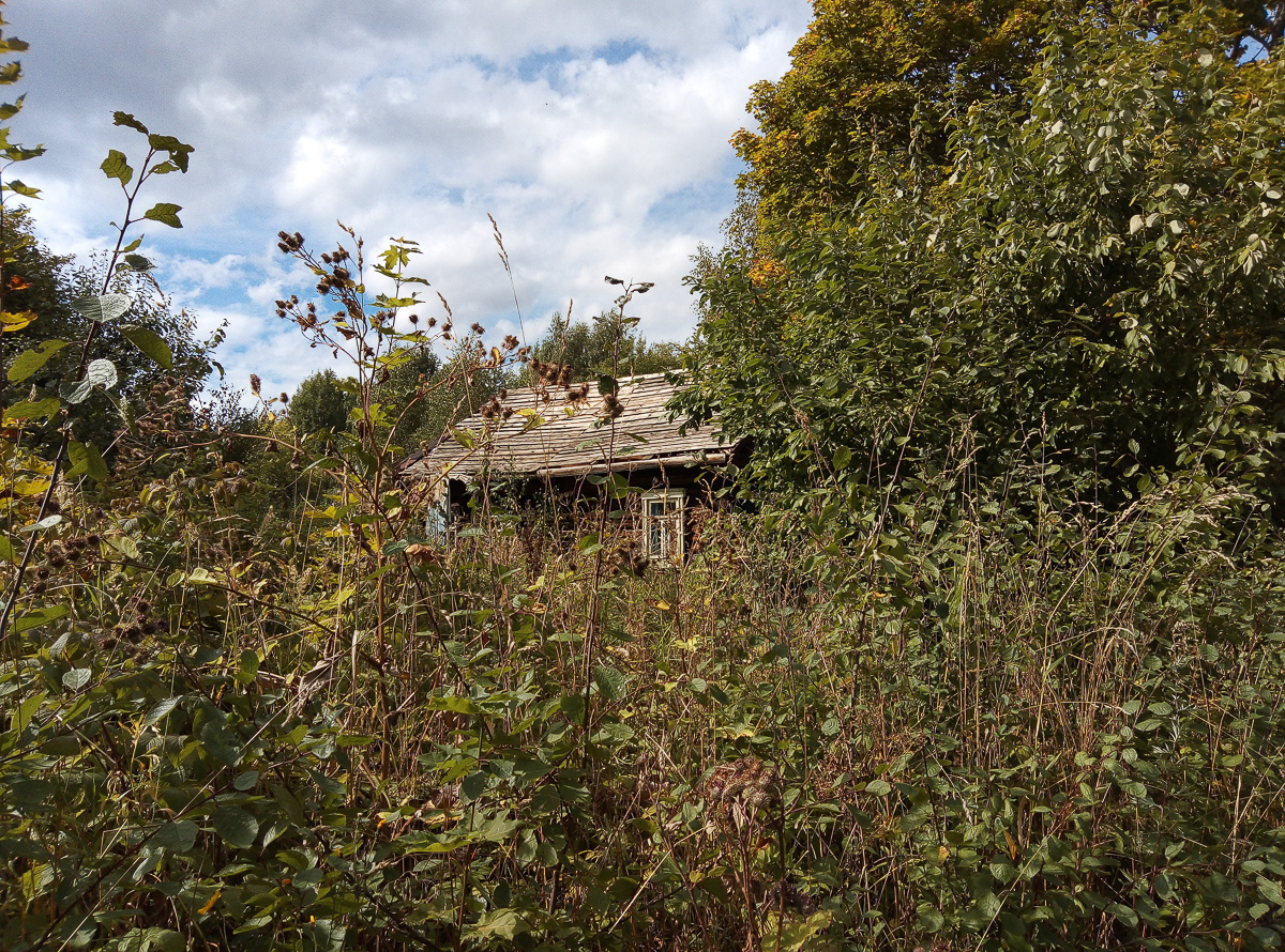 Есть дома, но нет жителей. Фото и видео из трех заброшенных деревень в Вязниковском районе