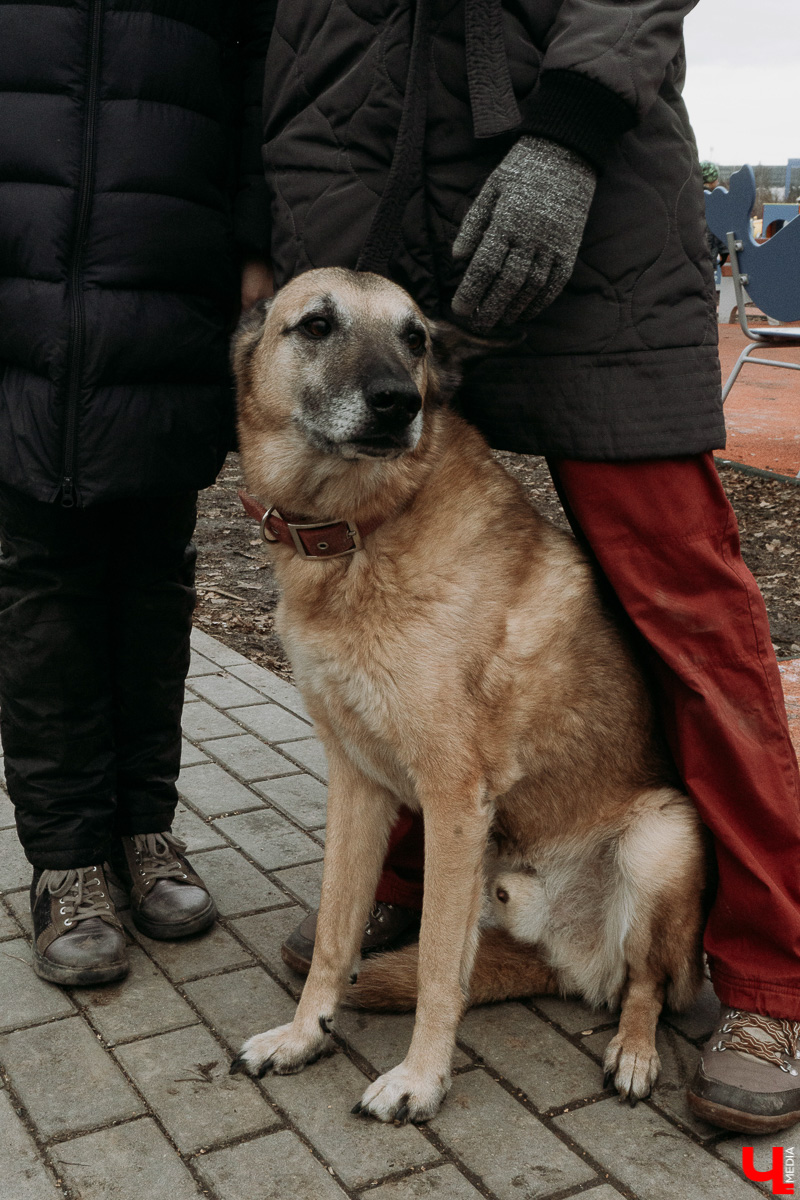 Парк «Добросельский» преобразился, а на улице Соколова-Соколенка появилась пешеходная зона - одни плюсы. А минусы-то есть?