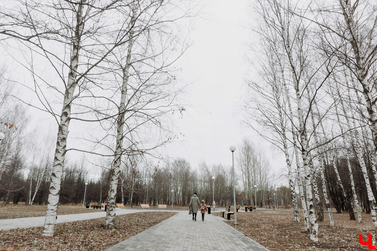Парк «Добросельский» преобразился, а на улице Соколова-Соколенка появилась пешеходная зона - одни плюсы. А минусы-то есть?