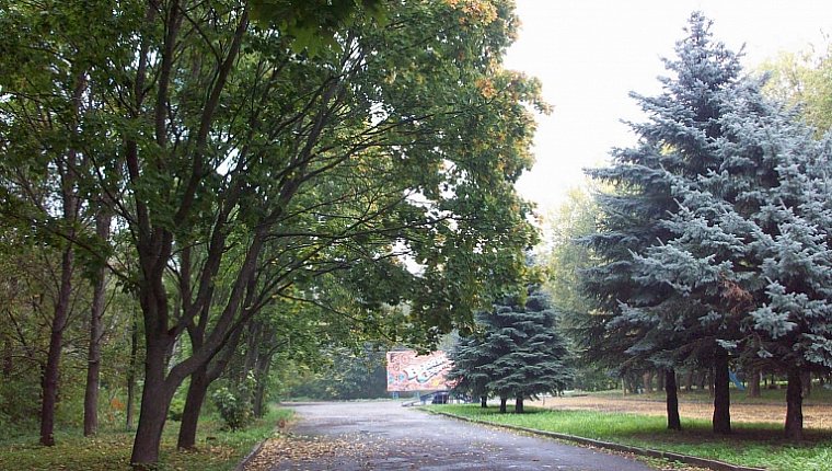 Фонд ДОМ.РФ поддержит создание в Суздале первой зоны воркаута. Это очередной этап обновления парка 950-летия