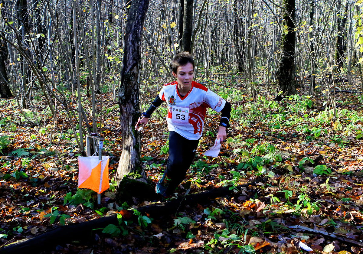 Молодежная региональная сборная по спортивному ориентированию сумела приятно удивить на Первенстве России, завоевав девять медалей, четыре из которых — «золотые». О том, как ковалась победа и какие еще результаты были достигнуты за минувший год, спортсмены и их тренеры рассказали сами