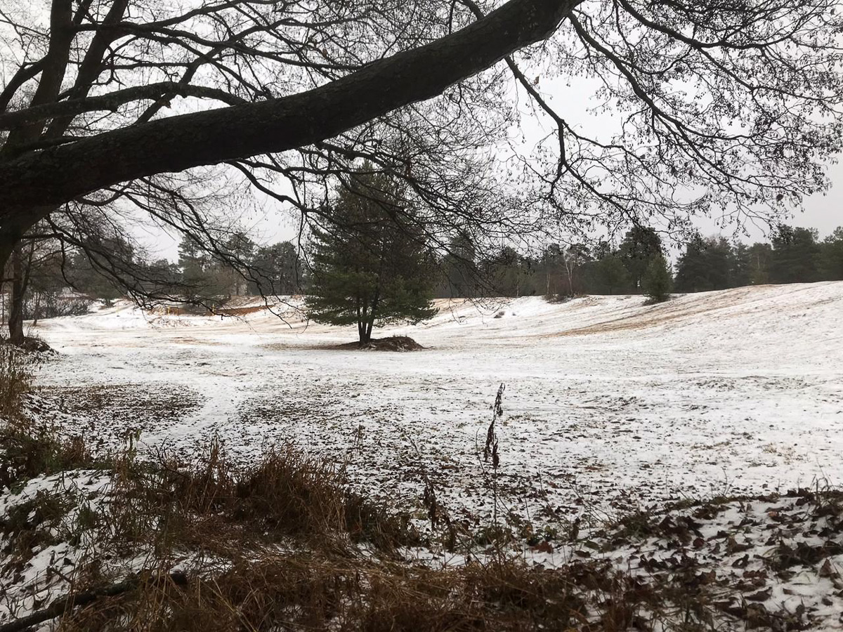 Возможно, уже этой зимой привычная горка для ватрушек в Загородном парке преобразится. Знакомимся с концептом сноу-парка, который сможет работать до ночи!