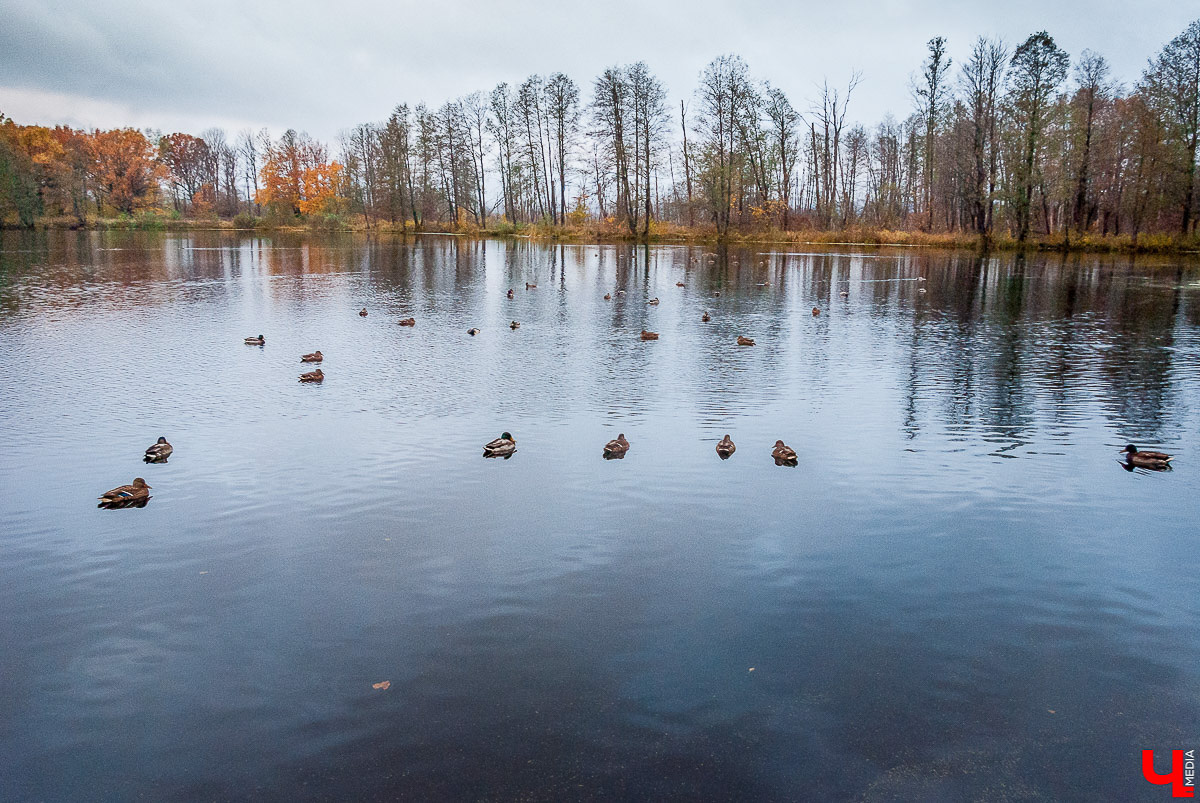 Возможно, уже этой зимой привычная горка для ватрушек в Загородном парке преобразится. Знакомимся с концептом сноу-парка, который сможет работать до ночи!
