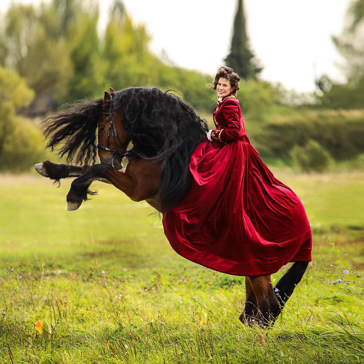 Принц на белом коне, амазонки, аристократки и прекрасные лошади в нашей новой Instagram-подборке