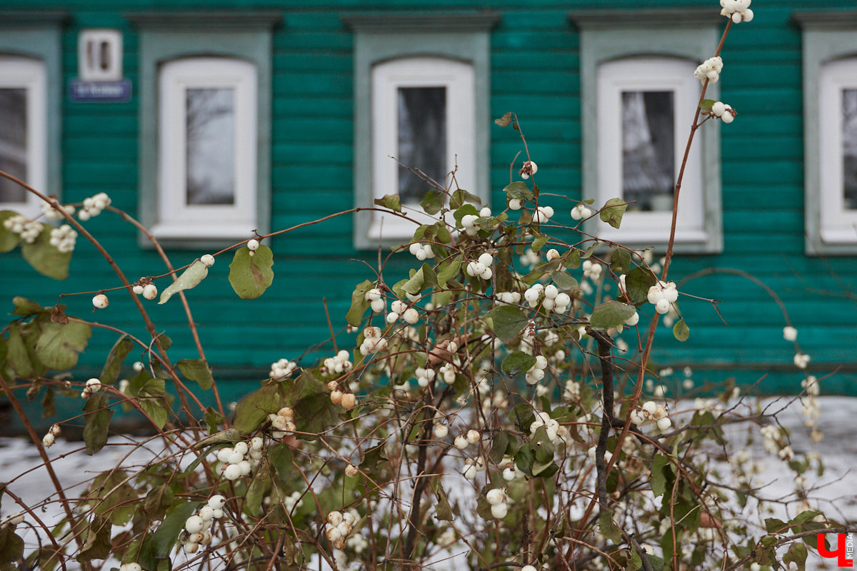 Прогулялись по владимирским улицам и посмотрели свежим взглядом на примечательные деревянные дома