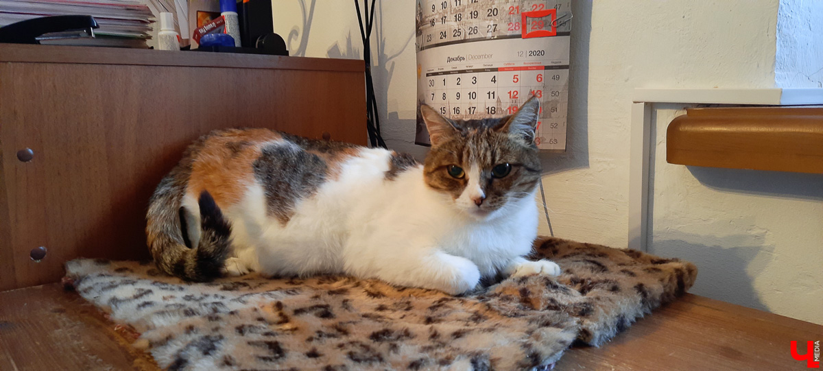 Гороховец сильно изменился за последние три года. Однозначно пора его навестить, чтобы оценить этот уникальный город!