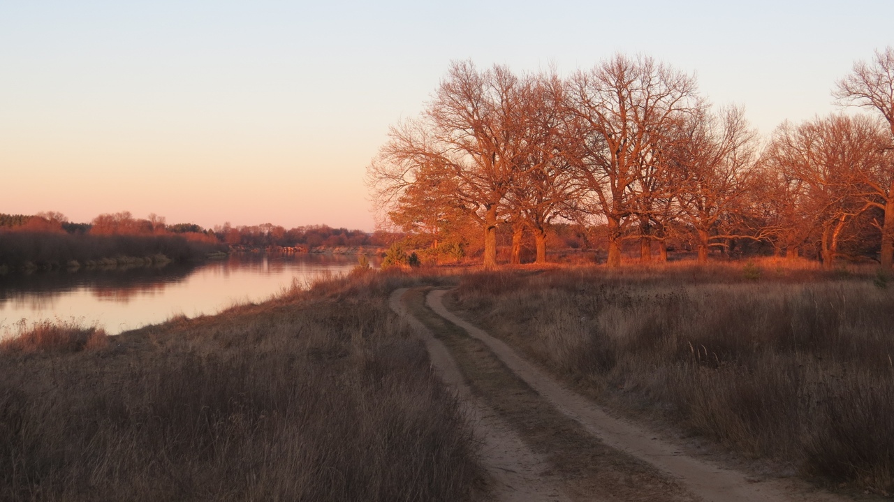 М12 начинают строить, уже изымают земли. Это далеко не все новости о дорогах и транспорте.