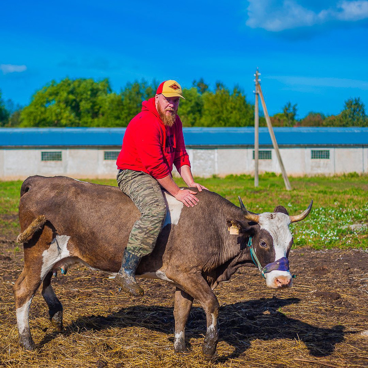 Денис — москвич, занимался творческими профессиями. Три года назад он кардинально изменил свою жизнь и стал фермером. Как ему живется в глубинке?